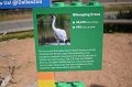 Kids_DFWzoo_3-2016 (100)